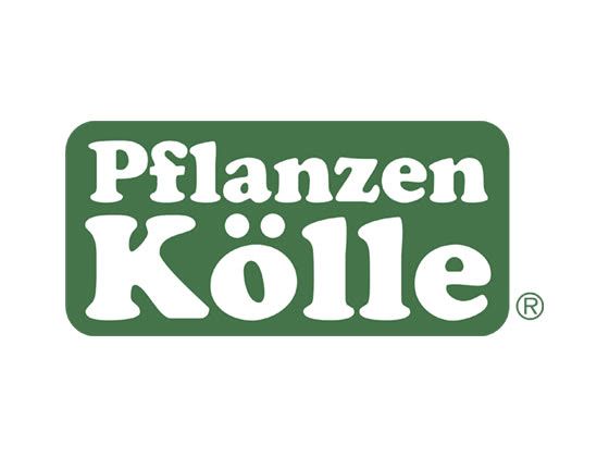 Angebot bei Pflanzen Kölle: Hol dir eine kostenlose Grußkarte mit persönlichem Text & kostenloser Versand für ausgewählte Blumensträuße.